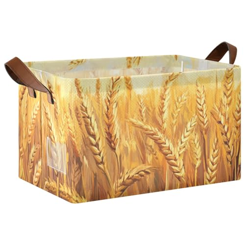 KLL Goldene Weizenfeld-Illustration, dekorative Regalkörbe, dekorative Aufbewahrungskörbe mit Griffen, Stoffwürfel, Organizer für Schrank, Organizer, Regal, Schrank, Bücherregal, 2 Stück KLL Goldene Weizenfeld-Illustration, dekorative Regalkörbe, dekorative Aufbewahrungskörbe mit Griffen, Stoffwürfel, Organizer für Schrank, Organizer, Regal, Schrank, Bücherregal, 2 Stück von KLL