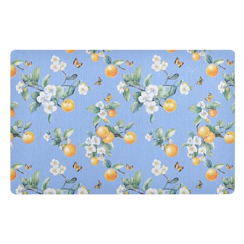 Teppich für die Haustür, 81,3 x 50,8 cm, rutschfeste Gummi-Unterseite, flaches Profil, für Innenbereich, ultradünn, Eingangsmatte für Urlaub, dekorative Eingang, Veranda, Outdoor, süßes Obst, Blau Teppich für die Haustür, 81,3 x 50,8 cm, rutschfeste Gummi-Unterseite, flaches Profil, für Innenbereich, ultradünn, Eingangsmatte für Urlaub, dekorative Eingang, Veranda, Outdoor, süßes Obst, Blau von KLL