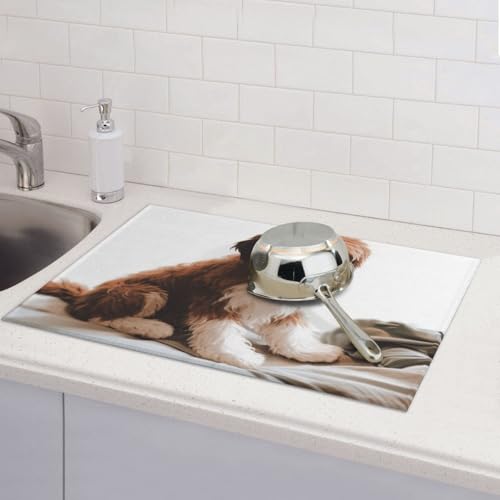 Abtropfmatte für Küchentheke, super saugfähig, wendbar, Mikrofaser, Küchenarbeitsplatte, Schutz, Haustier-Hundegeschirr, Abtropfmatte, 45,7 x 61 cm Abtropfmatte für Küchentheke, super saugfähig, wendbar, Mikrofaser, Küchenarbeitsplatte, Schutz, Haustier-Hundegeschirr, Abtropfmatte, 45,7 x 61 cm von KLLTYHMU