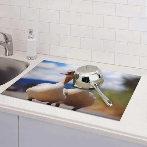 Abtropfmatten für Küchentheke, super saugfähig, wendbar, Mikrofaser, Küchenarbeitsplattenschutz, niedliche Gänseschalen, Abtropfmatte, 45,7 x 61 cm Abtropfmatten für Küchentheke, super saugfähig, wendbar, Mikrofaser, Küchenarbeitsplattenschutz, niedliche Gänseschalen, Abtropfmatte, 45,7 x 61 cm von KLLTYHMU