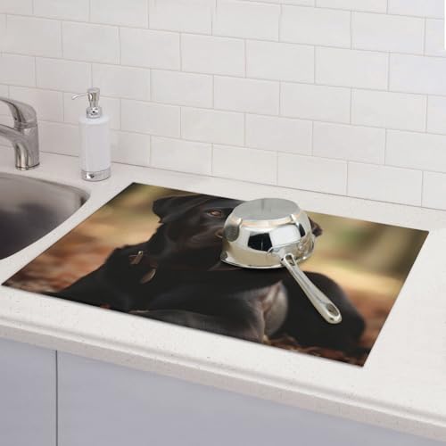 Abtropfmatten für Küchentheke, super saugfähig, wendbar, Mikrofaser, Küchenarbeitsplattenschutz, niedlicher Labrador-Hundegeschirr, Abtropfmatte, 45,7 x 61 cm von KLLTYHMU