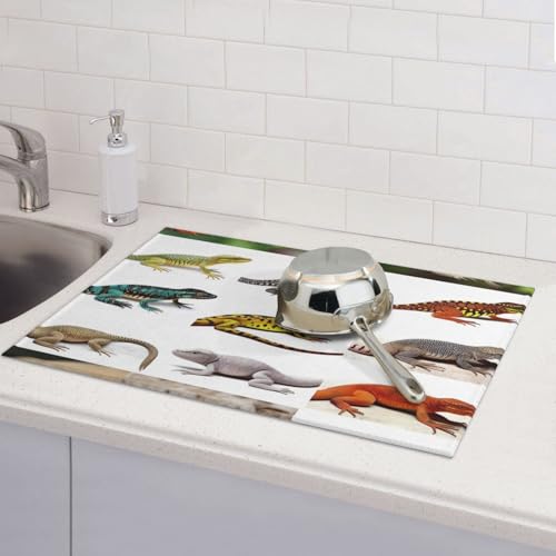 Abtropfmatten für Küchentheke, super saugfähig, wendbar, Mikrofaser, Küchenarbeitsplattenschutz, verschiedene Arten von Eidechsengeschirr, Abtropfmatte, 45,7 x 61 cm Abtropfmatten für Küchentheke, super saugfähig, wendbar, Mikrofaser, Küchenarbeitsplattenschutz, verschiedene Arten von Eidechsengeschirr, Abtropfmatte, 45,7 x 61 cm von KLLTYHMU