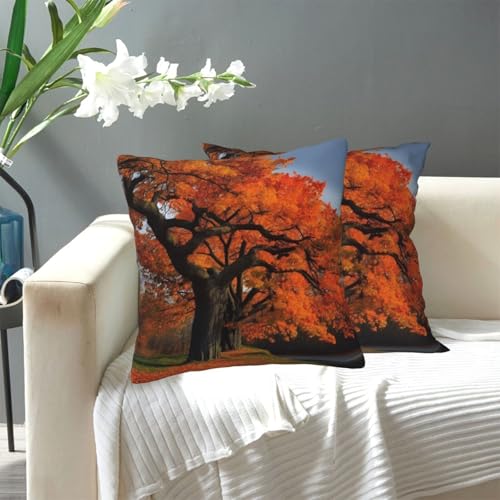 Dekorativer Kissenbezug "Baum im Herbst" für den Außenbereich, gemütlicher Bauernhaus-Kissenbezug mit verstecktem Reißverschluss, für Sofa, Couch, Schlafzimmer, Heimdekoration, 50,8 x 50,8 cm Dekorativer Kissenbezug "Baum im Herbst" für den Außenbereich, gemütlicher Bauernhaus-Kissenbezug mit verstecktem Reißverschluss, für Sofa, Couch, Schlafzimmer, Heimdekoration, 50,8 x 50,8 cm von KLLTYHMU
