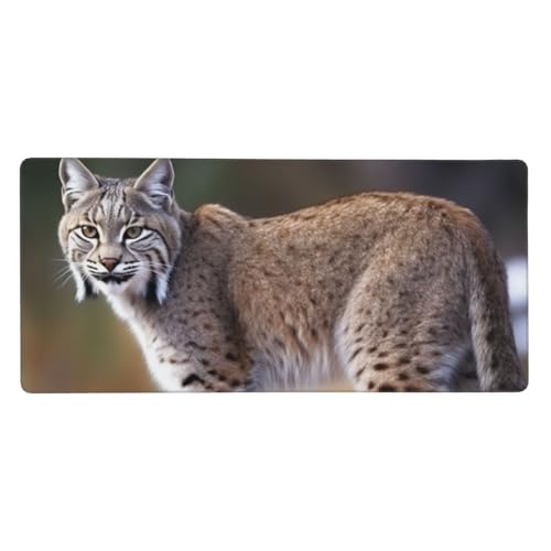 Großes Gaming-Mauspad, 40,6 x 90,2 cm, rutschfestes, verlängertes XXL-Mauspad, lange Schreibtischunterlage mit genähten Kanten, für Tastatur, Heimbüro, Gaming, Arbeit, wilder Bobcat Big Desk Pad Großes Gaming-Mauspad, 40,6 x 90,2 cm, rutschfestes, verlängertes XXL-Mauspad, lange Schreibtischunterlage mit genähten Kanten, für Tastatur, Heimbüro, Gaming, Arbeit, wilder Bobcat Big Desk Pad von KLLTYHMU
