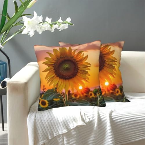 KLLTYHMU Dekorativer Kissenbezug mit Sonnenblume und Sonnenuntergang, für draußen, gemütlicher Bauernhaus-Kissenbezug mit verstecktem Reißverschluss, für Sofa, Couch, Schlafzimmer, Heimdekoration von KLLTYHMU