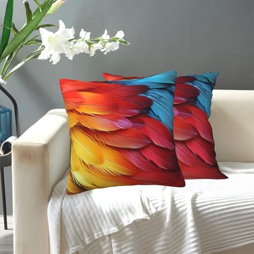 KLLTYHMU Fantastischer Kissenbezug mit Papageienfedern, modern, dekorativ, für den Außenbereich, gemütlicher Bauernhaus-Kissenbezug mit verstecktem Reißverschluss, für Sofa, Couch, Schlafzimmer KLLTYHMU Fantastischer Kissenbezug mit Papageienfedern, modern, dekorativ, für den Außenbereich, gemütlicher Bauernhaus-Kissenbezug mit verstecktem Reißverschluss, für Sofa, Couch, Schlafzimmer von KLLTYHMU