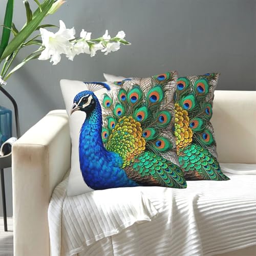 KLLTYHMU Kissenbezug, Vintage-Stil, elegant, bunt, Pfau, modern, dekorativ, für den Außenbereich, gemütlicher Bauernhaus-Kissenbezug mit verstecktem Reißverschluss, für Sofa, Couch, Schlafzimmer KLLTYHMU Kissenbezug, Vintage-Stil, elegant, bunt, Pfau, modern, dekorativ, für den Außenbereich, gemütlicher Bauernhaus-Kissenbezug mit verstecktem Reißverschluss, für Sofa, Couch, Schlafzimmer von KLLTYHMU