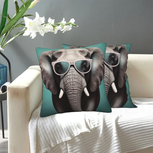 KLLTYHMU Kissenbezug mit Elefant mit Brille, modern, dekorativ, für den Außenbereich, gemütlicher Bauernhaus-Kissenbezug mit verstecktem Reißverschluss, für Sofa, Couch, Schlafzimmer, Heimdekoration von KLLTYHMU