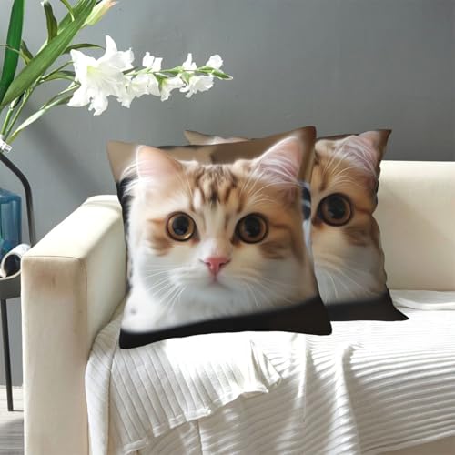 KLLTYHMU Niedliche Katzen-Überwurf-Kissenbezüge, modern, dekorativ, für den Außenbereich, gemütlicher Bauernhaus-Kissenbezug mit verstecktem Reißverschluss, für Sofa, Couch, Schlafzimmer KLLTYHMU Niedliche Katzen-Überwurf-Kissenbezüge, modern, dekorativ, für den Außenbereich, gemütlicher Bauernhaus-Kissenbezug mit verstecktem Reißverschluss, für Sofa, Couch, Schlafzimmer von KLLTYHMU