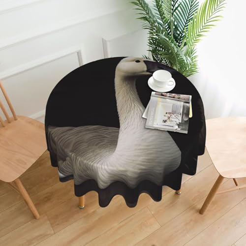 KLLTYHMU Runde Tischdecken, 152,4 cm, wasserdicht, flecken- und knitterfrei, Gans, dekorative Bauernhaus-Tischdecke für Picknick, Party, Esszimmer, Zuhause, Innen- und Außenbereich KLLTYHMU Runde Tischdecken, 152,4 cm, wasserdicht, flecken- und knitterfrei, Gans, dekorative Bauernhaus-Tischdecke für Picknick, Party, Esszimmer, Zuhause, Innen- und Außenbereich von KLLTYHMU