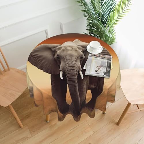 KLLTYHMU Runde Tischdecken, 152,4 cm, wasserdicht, flecken- und knitterfrei, niedlicher wilder Elefant, dekorative Bauernhaus-Tischdecke für Picknick, Party, Esszimmer, Zuhause, Innen- und KLLTYHMU Runde Tischdecken, 152,4 cm, wasserdicht, flecken- und knitterfrei, niedlicher wilder Elefant, dekorative Bauernhaus-Tischdecke für Picknick, Party, Esszimmer, Zuhause, Innen- und von KLLTYHMU