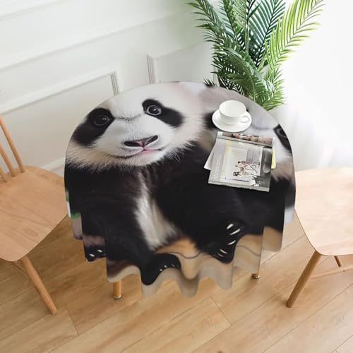 KLLTYHMU Runde Tischdecken, wasserdicht, flecken- und knitterfrei, runde Tischdecke, Baby-Pandas, dekorative Bauernhaus-Tischdecke für Picknick, Party, Esszimmer, Zuhause, Innen- und Außenbereich KLLTYHMU Runde Tischdecken, wasserdicht, flecken- und knitterfrei, runde Tischdecke, Baby-Pandas, dekorative Bauernhaus-Tischdecke für Picknick, Party, Esszimmer, Zuhause, Innen- und Außenbereich von KLLTYHMU