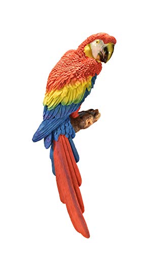 Papagei Wanddeko Wandbild Kakadu Sittich Deko Garten Vogel Figur Ara Skulptur von KLP