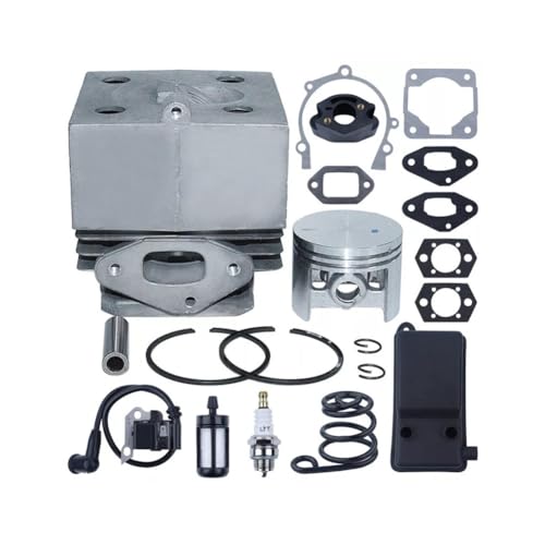 4203 400 1301 4203-020-1201 46MM Zylinder Kolben Kits Set Fit for SR400 SR420 BR320 BR400 BR340 BR380 BR420 Laubbläser von KLRAEZ