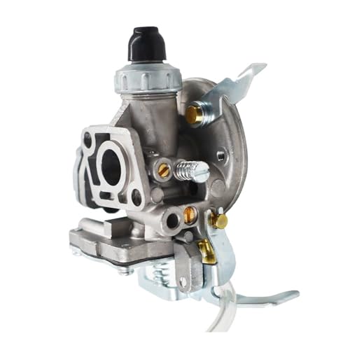 A021002520 20021-81021 Vergaser Fit for B45 B45LA B45INTL C230 C350 T350 X230 TCX230 Rutsche Cg45 E4 von KLRAEZ