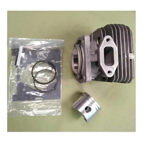 Dsh4000 Zylinderkolbensatz 40 mm 61450048 Passend for Dsh4000t Oleo-Mac Bch400 Bch400t Bch400bp Ringe Stiftclips 61450442 Dsh4000 Zylinderkolbensatz 40 mm 61450048 Passend for Dsh4000t Oleo-Mac Bch400 Bch400t Bch400bp Ringe Stiftclips 61450442 von KLRAEZ