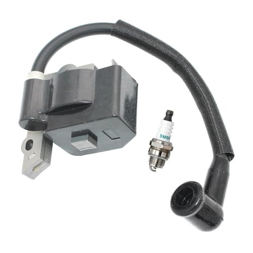 Zündmodulspule passend for BL150 MC025 MC125 von KLRAEZ