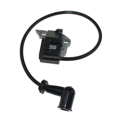 Zündspule Modul Fit for BP42 RBL42BP RY08420 RY08420B RY08420A RY42WB Powr XT 291424001 291424009,291424010 Zündspule Modul Fit for BP42 RBL42BP RY08420 RY08420B RY08420A RY42WB Powr XT 291424001 291424009,291424010 von KLRAEZ