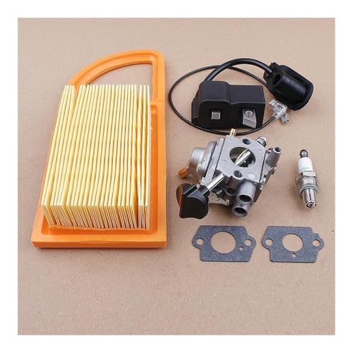Zündspule Vergaser Zündkerze Kit Fit for BR600 BR500 BR550 C1Q-S183 Laubbläser Teile von KLRAEZ