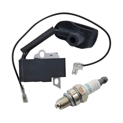 Zündspule Zündkerze Kit Fit for BR500 BR550 BR600 Rucksack Laubbläser Teile 42824001305 4282 400 1305 von KLRAEZ