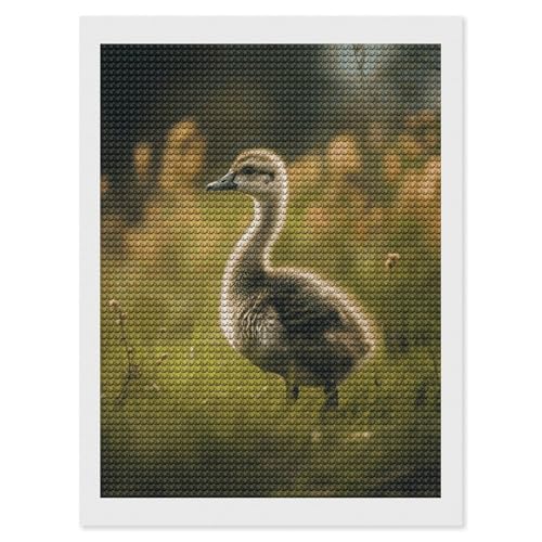 Diamant-Malerei-Kits für Erwachsene, Diamant-Kunst-Set für Anfänger, kleine Ente auf dem Feld, 5D-DIY-Voll-Runddiamant-Kunst-Bastelsets für Erwachsene für Heimdekoration Diamant-Malerei-Kits für Erwachsene, Diamant-Kunst-Set für Anfänger, kleine Ente auf dem Feld, 5D-DIY-Voll-Runddiamant-Kunst-Bastelsets für Erwachsene für Heimdekoration von KLWQR