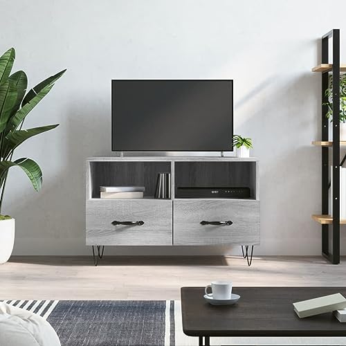 KLYEON TV-Schrank Grau Sonoma TV Schrank Stauraum staubgeschützt for Tagungsraum 80x36x50 cm Holzwerkstoff von KLYEON