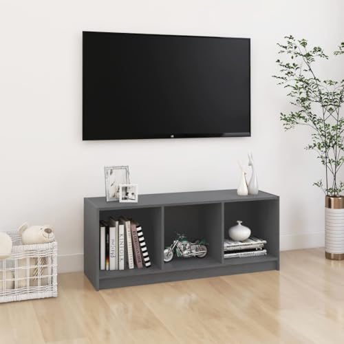 TV-Schrank Grau Fernsehschrank modern viel Stauraum einfache Montage for Tagungsraum 104x33x41 cm Massivholz Kiefer von KLYEON