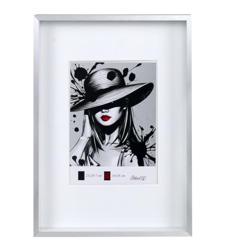 KM FOTO 3D Rahmen Aluminium Objektrahmen Bilderrahmen mit Passepartout & geh�rtetem Glas Fotorahmen Wandrahmen AL-3: Farbe: Silber | Format: 30x30 von KM FOTO