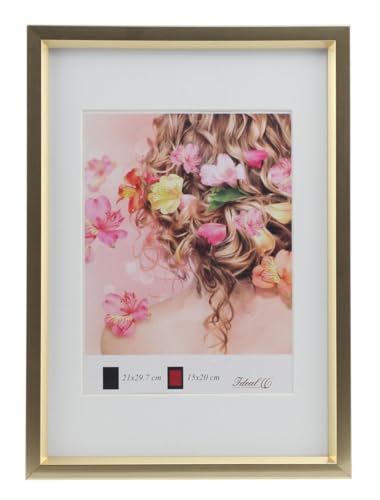 Metal Style Kunststoff Bilderrahmen Bildträger Schrägschnittpassepartout Urkunde Foto Rahmen: Farbe: Gold | Format: 30x30 Metal Style Kunststoff Bilderrahmen Bildträger Schrägschnittpassepartout Urkunde Foto Rahmen: Farbe: Gold | Format: 30x30 von KM FOTO