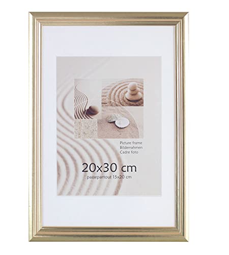 S216 Holz Bilderrahmen Acrylglas Lifestyle Foto Rahmen Collage Wanddeko Poster: Farbe: Gold | Format: 20x30 von KM FOTO