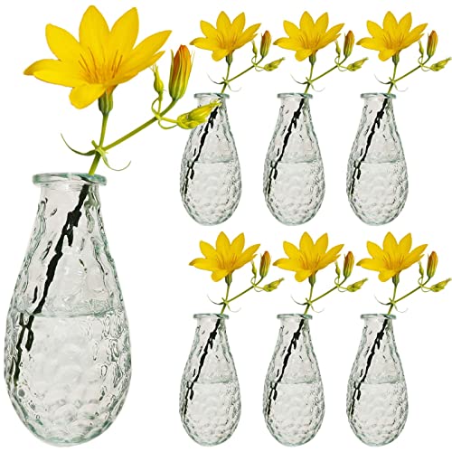 6 kleine Vase mit Blumen, aus Glas, dekorativ, transparent, Dekoration für Tischdekoration, Hochzeit, Champeter, Boheme, Taufe, Geburtstag, Muttertag von KMERCE