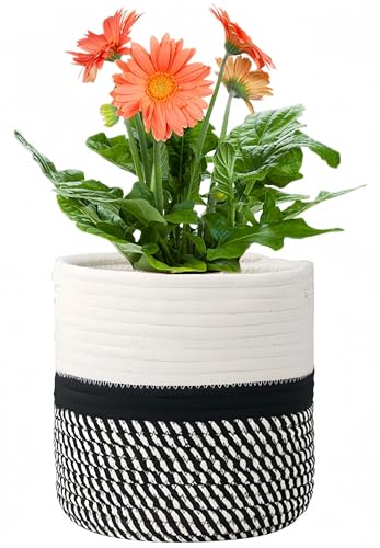 KMERCE Blumentopf Korb geflochten,Pflanzenkorb Indoor,übertöpfe für zimmerpflanzen,blumenkorb geflochten mit Griffen, übertopf Korb Boho, pflanzentopf 20 cm Durchmesser von KMERCE