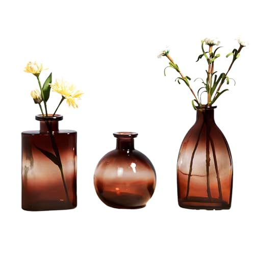 KMERCE Blumenvasen aus Glas, kleine Vase, braun, dekorativ, modern, Dekoration für Tischmitte, Hochzeit, Champagner, Boheme, Taufe, Geburtstag, Muttertagsgeschenk, 3 Stück KMERCE Blumenvasen aus Glas, kleine Vase, braun, dekorativ, modern, Dekoration für Tischmitte, Hochzeit, Champagner, Boheme, Taufe, Geburtstag, Muttertagsgeschenk, 3 Stück von KMERCE