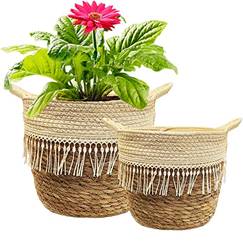 KMERCE Pflanzkorb Groß, 2er Set Blumenkorb Geflochten aus Seegras, übertopf Korb für Zimmerpflanzen, blumentopf Boho, Übertöpfe mit Griffen, Aufbewahrungskorb, 20cm und 25cm Durchmesser von KMERCE