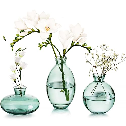 Vasen 3er-Set Kleine Blumenvasen Modern aus Kristall Grün, Mini-Vasen Glasfläschchen, Vase dekorative, Glasvase Deco für Tischmitte, bücher, Hochzeit, Taufe, Geburtstag, Geschenk zum Muttertag von KMERCE