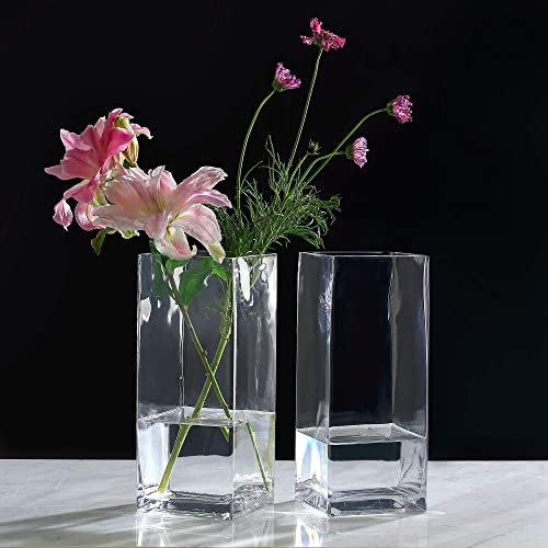 KMwares 2-teiliges Set 9,9 x 24,9 cm, dekoratives klares Glas, hohe quadratische Vase, Set für Zuhause, Blume, Hochzeit, Party, Tisch, Büro Dekoration von KMwares