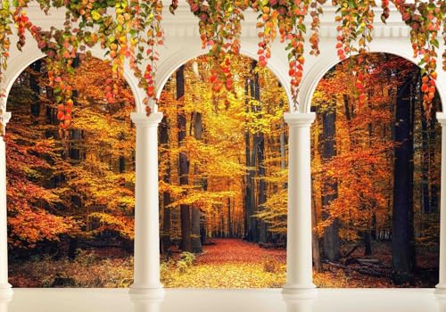 Vlies Fototapete Wandtapete Wandbilder 3D Herbst Wald Landschaft 1342 (150(B) x 105(H) cm) von KN-COLLECTION