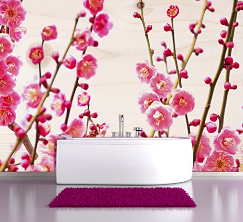 Vlies Fototapete Wandtapete Wandbilder Romantische Schöne Rosa Blume 1581 (500(B) x 300(H) cm) von KN-COLLECTION