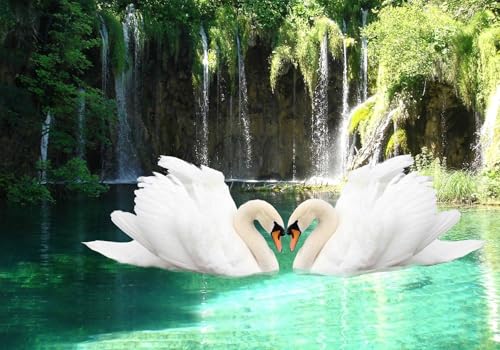 Vlies Fototapete Wandtapete Wandbilder Wandtapeten Natur Wasserfall Schwan 1380 (400(B) x 280(H) cm) von KN-COLLECTION