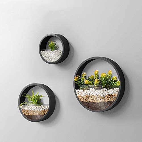 KNIKGLASS 3 Stück/Set Wandvasen Deko Übertopf für Zimmerpflanzen Sukkulenten Luftpflanzen Kakteen Kunstpflanzen und Mehr, Metall (Schwarz) von KNIKGLASS