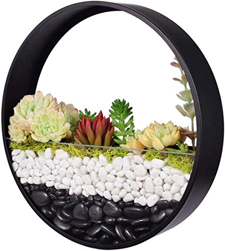 Wandvase, Wand-Pflanzgefäß, Wandmontage, Hänge-Blumentopf, Pflanzen-Halter, Moderne Wanddekoration, Kunst für Balkon, Garten, Luftpflanzen, getrocknete Blumen, Sukkulenten (Schwarz, 30 cm) von KnikGlass