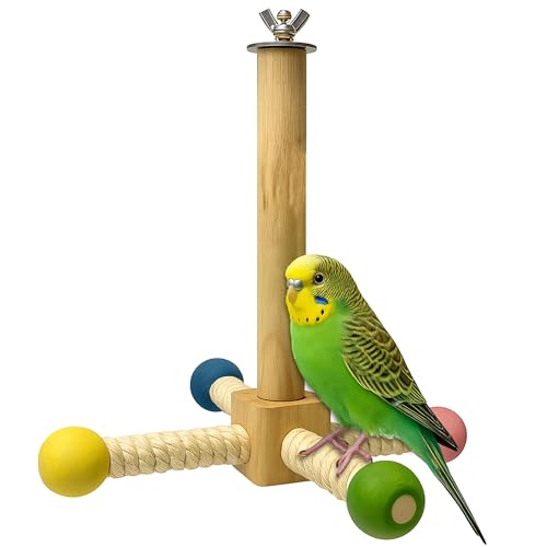 KNUTI Vogel-Sitzstange, 360 Grad drehbarer Holzständer mit bunten Kugeln, natürliches Holzkäfig-Zubehör für Sittiche und kleine Vögel von KNUTI
