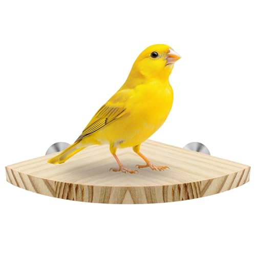 KNUTI Vogelsitzstange Eckständer für Vogelkäfig, Eckplattform, Holz, Vogelsitzstangen, Eckregal für Vögel, Papageien, Nymphensittiche und andere Tierkäfige (Holz, flach – klein) von KNUTI