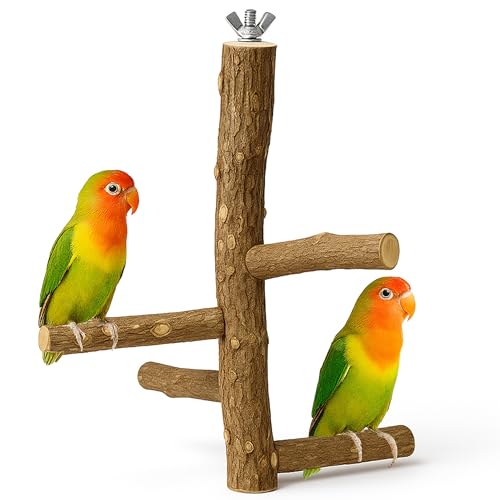 KNUTI Vogelsitzstange aus Naturholz, Hängeständer Spielzeug für Vogelkäfig, Aststange für Papageien, Nymphensittiche, Sittiche von KNUTI