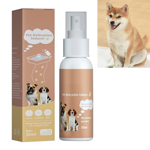 KOAHDE Töpfchen-Trainingshilfe für Hunde und Welpen,Töpfchen-Trainingsspray für Hunde,Töpfchen-Hier-Trainingsspray,Hundepipi Spray Training,Spray für Training Töpfchentrainings Hunde-PIPI-Trainer von KOAHDE