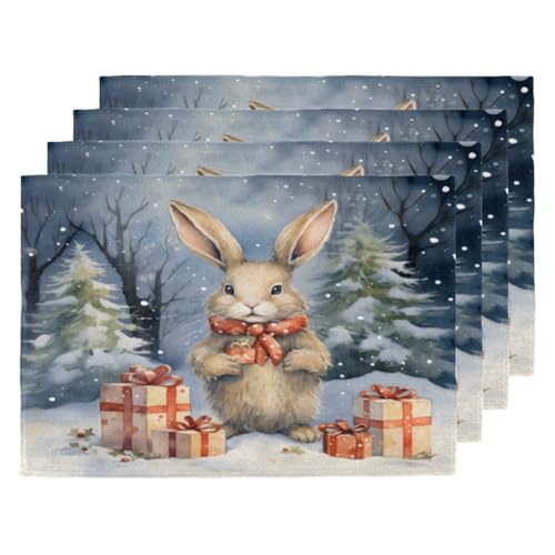 Winter Weihnachten Lustige Stil Tischsets Set von 4 Tischsets Waschbar Platzset Wasserdicht Platzsets für Home Party Esstisch Dekor 45,7 x 30,5 cm von KOBLEN