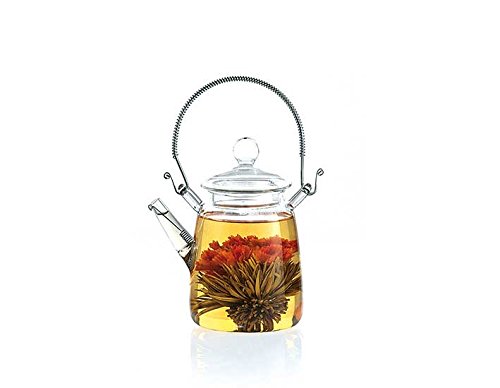 Kleine Glas-Teekanne für Teeblüte, 300ml 1 Stück von KOBU-TEE