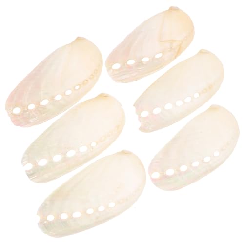 KOCKSHION 6 Stück Abalone Muschel Deko für Strandhochzeit und Aquarien Natürliche Perlenmuscheln für DIY Bastelprojekte Tischdekoration und Kreative Wohnraumgestaltung KOCKSHION 6 Stück Abalone Muschel Deko für Strandhochzeit und Aquarien Natürliche Perlenmuscheln für DIY Bastelprojekte Tischdekoration und Kreative Wohnraumgestaltung von KOCKSHION