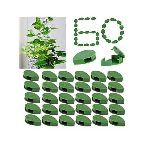 KOCNYDEY 60 Stück Pflanzenklammern zur Befestigung an der Wand, Blattform unsichtbare Wandreben, Befestigung, Wandhaken, Befestigungsclip für Garten, Zuhause, Büro Innen- und Außendekoration von KOCNYDEY
