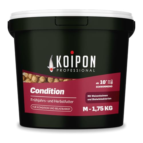 KOIPON Condition 1,75 kg 6mm Fischfutter Pellets Frühjahr & Herbst schwimmend, Teichfutter für japanische Koi, Koifutter als Goldfischfutter geeignet KOIPON Condition 1,75 kg 6mm Fischfutter Pellets Frühjahr & Herbst schwimmend, Teichfutter für japanische Koi, Koifutter als Goldfischfutter geeignet von KOIPON